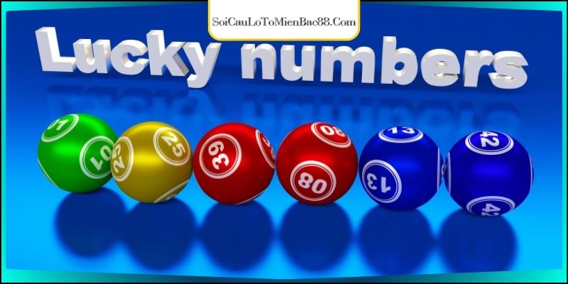 Các thông tin chính về dàn đề ăn liên tục