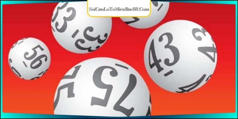 Chiến thuật tạo dàn ăn quanh năm theo chạm