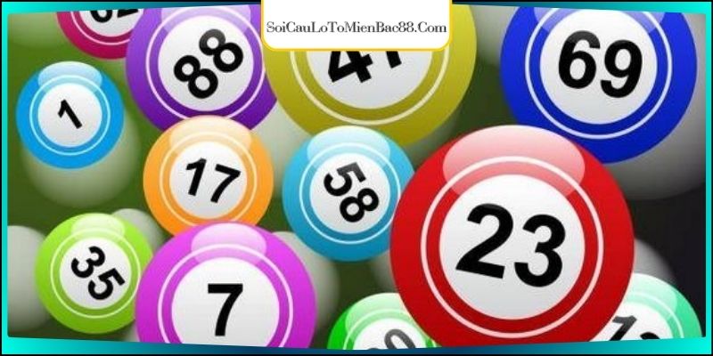 Đôi nét về đàn đề ăn quanh năm 