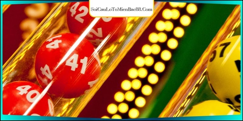 Kinh nghiệm nuôi dàn chạm 6 chuẩn cho người mới