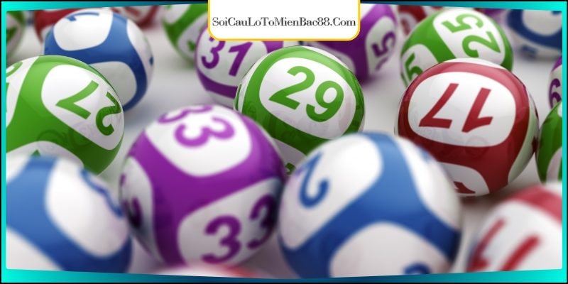 Mẹo vào tiền nuôi khung 3 hôm cho dàn