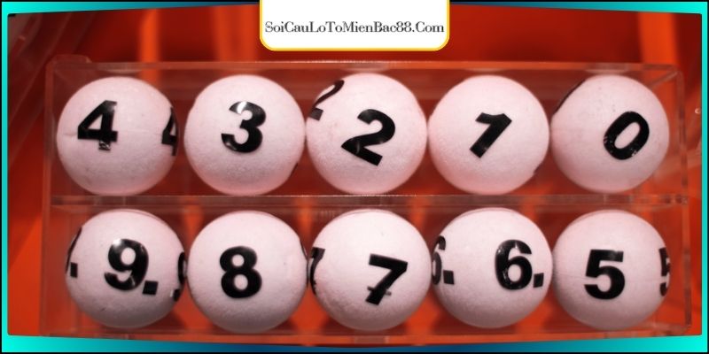 Một số bí kíp để nuôi được dàn ăn liên tục