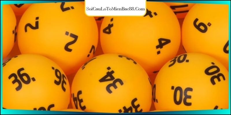 Một số lưu ý áp dụng dàn ăn quanh năm