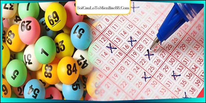 Sử dụng thêm các loại cầu khi lập dàn đề