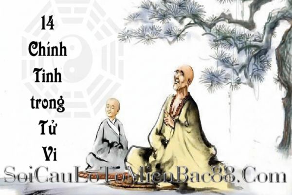 Dựa vào các chính tinh có thể luận giải được nhiều thông tin về lá số tử vi