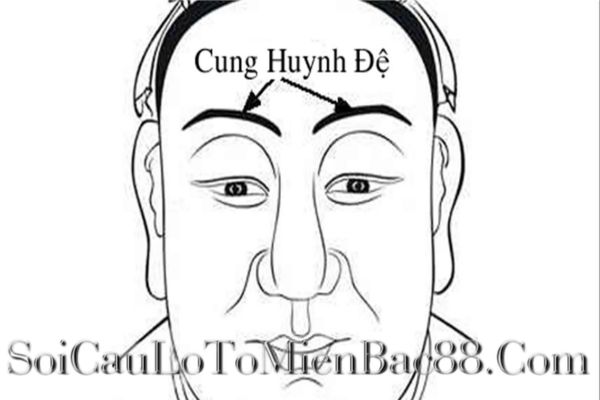 Thông qua cung Huynh Đệ dễ dàng luận giải được mối quan hệ anh em, bạn bè 
