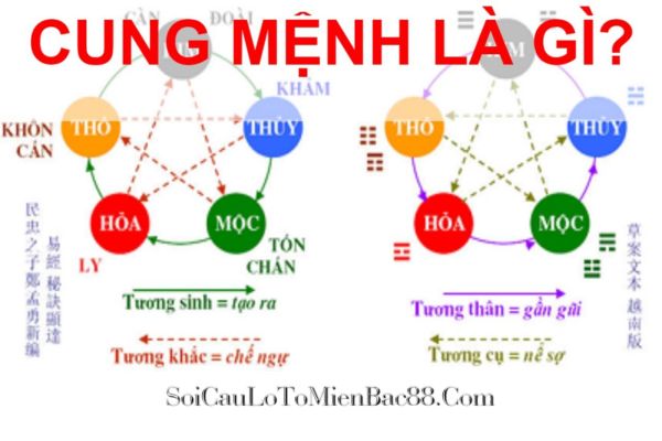 cung mệnh là gì