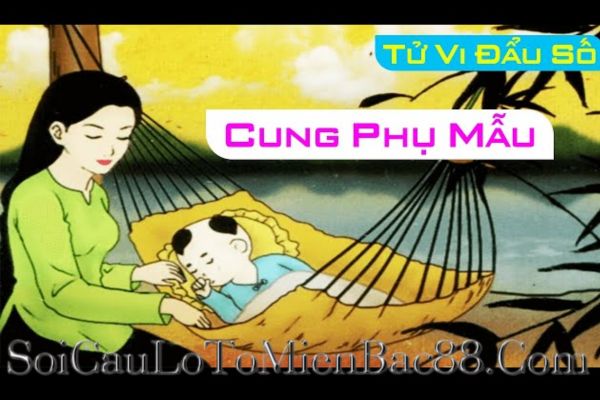 cung phụ mẫu là gì