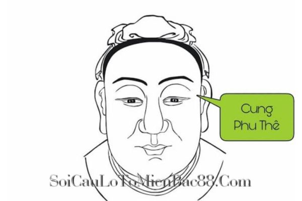 cung phu thê là gì