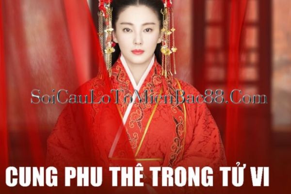 Có nhiều yếu tố tác động tới cung Phu Thê