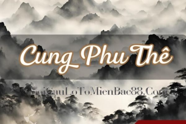 cung phu thê là gì