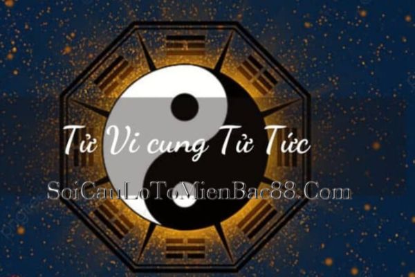 Trong tử vi, cung Tử Tức bị ảnh hưởng bởi nhiều yếu tố khác đi kèm