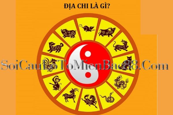 địa chi là gì