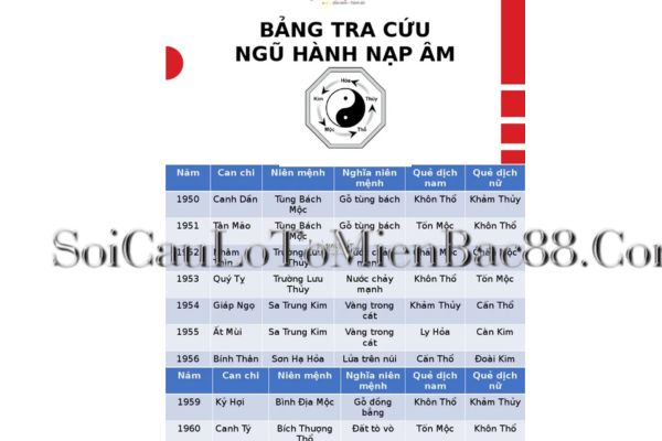 Tuỳ vào can chi của mỗi người sẽ xét nạp âm - ngũ hành khác nhau