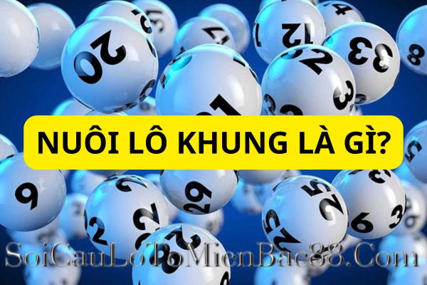nuôi lô khung