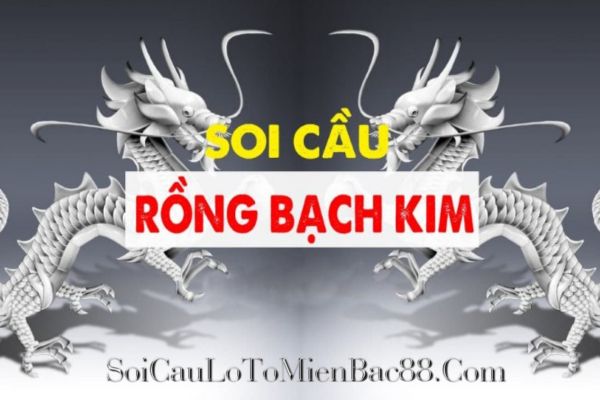 Rongbachkim 247 cũng có những ưu điểm và hạn chế riêng