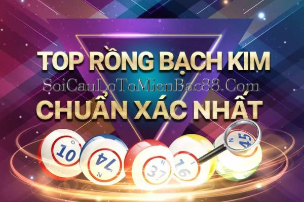 rồng bạch kim 247