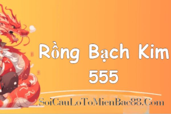 Tại RBK 555 đáp ứng mọi nhu cầu soi cầu hiện nay của anh em