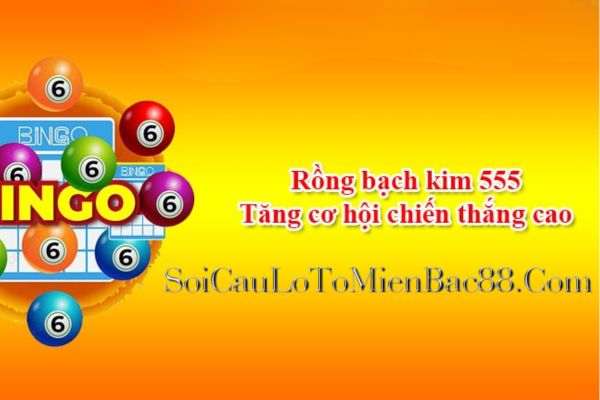rồng bạch kim 555