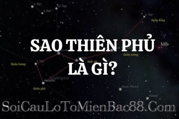 Sao Thiên Phủ tượng trưng chủ yếu về quản lý, tích lũy và bảo vệ của cải