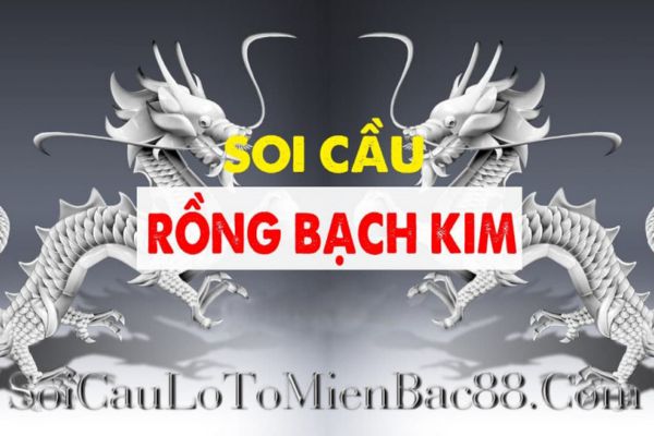soi cầu rồng bạch kim