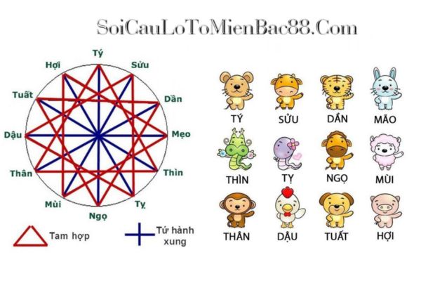 Trong phong thuỷ, những cặp con giáp tam hợp thường mang đến nguồn năng lượng tích cực cho nhau