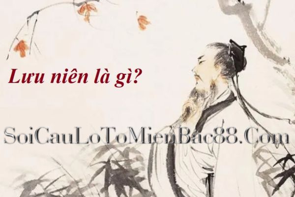 lưu niên là gì