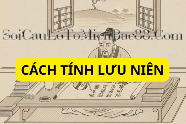 Cần dựa vào nhiều yếu tố để xác định lưu niên