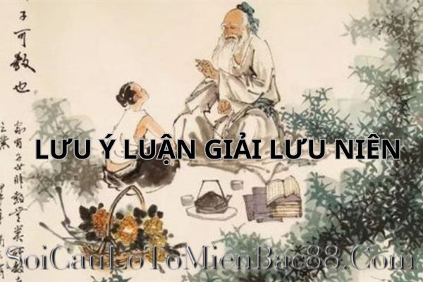 lưu niên là gì