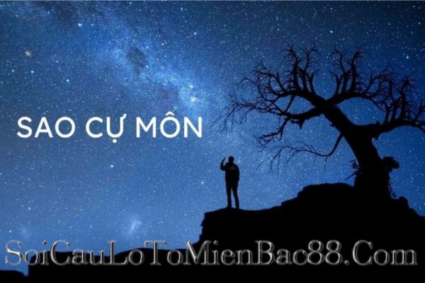 Trong tử vi, sao Cự Môn đại diện cho cách một người suy nghĩ, diễn đạt và phản ứng trước các vấn đề trong cuộc sống