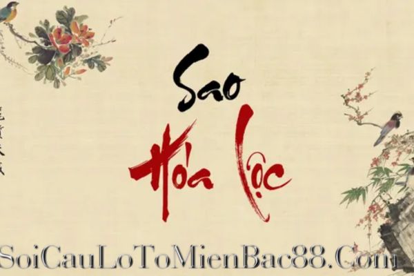 Người có sao Hóa Lộc chiếu mệnh thường mang nhiều đặc điểm tích cực trong đời sống