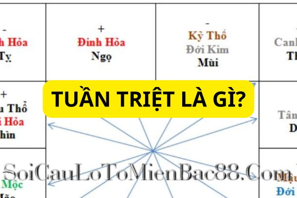 tuần triệt là gì