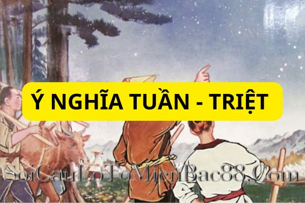 Vị trí an sao Tuần - Triệt phụ thuộc vào nhiều yếu tố
