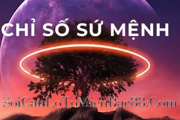 cách tính chỉ số sứ mệnh