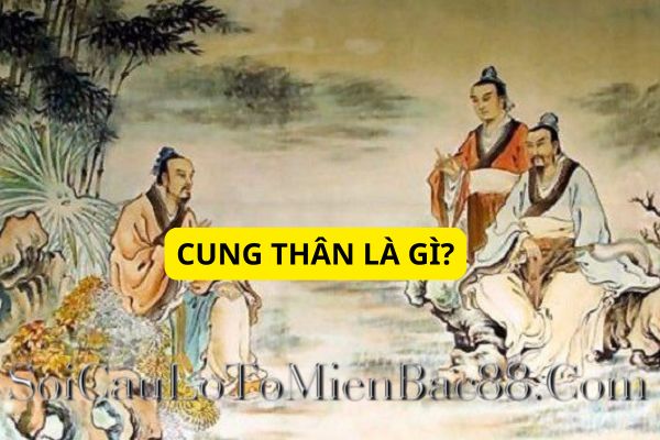 luận giải cung thân