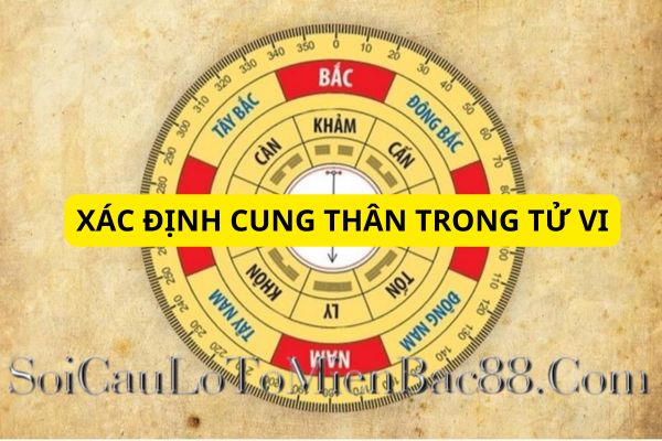Dựa vào nhiều yếu tố để có thể xác định cung Thân