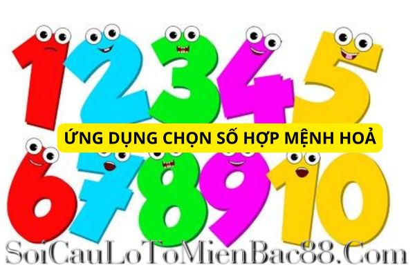 mệnh hoả hợp số nào