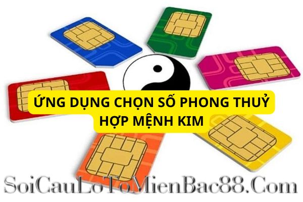 mệnh kim hợp số nào