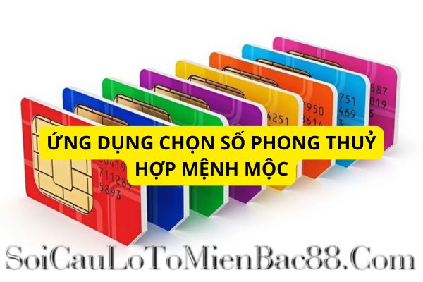 mệnh mộc hợp số nào