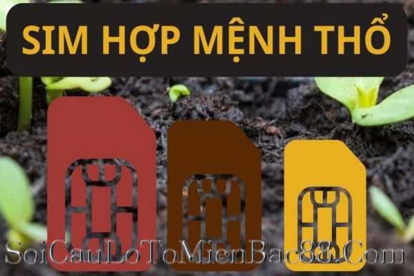mệnh thổ hợp số nào