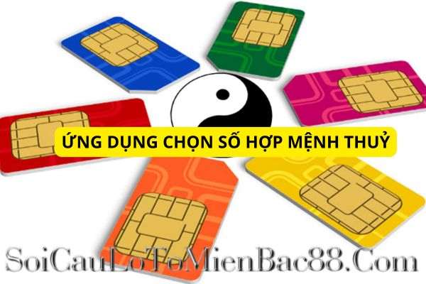 mệnh thủy hợp số nào
