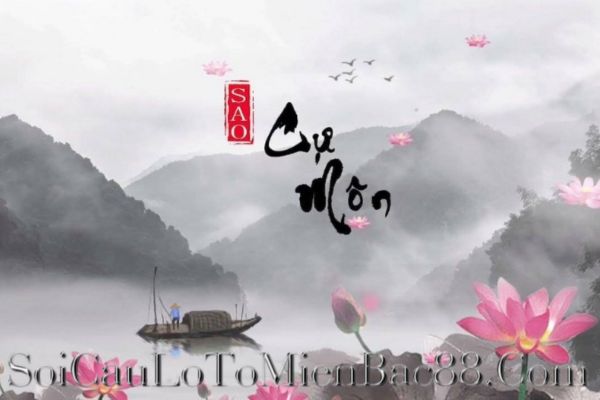 Người có sao Cự Môn chiếu mệnh thường có đặc điểm riêng biệt