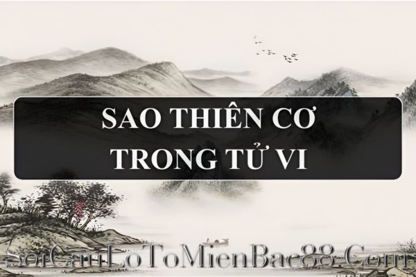 Mệnh Thiên Cơ lại đại diện cho năng lực tư duy và sự linh hoạt