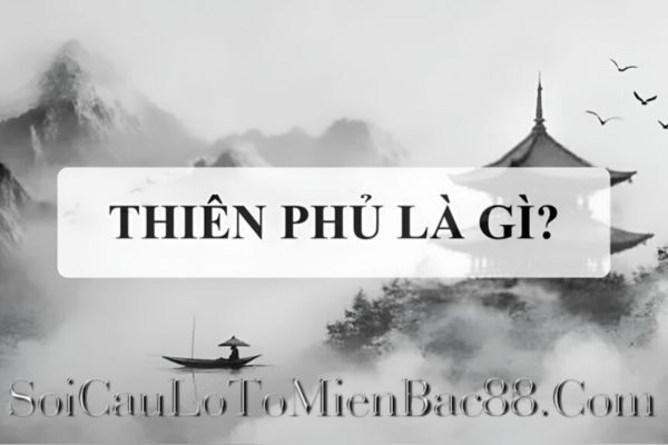 số mệnh thiên phủ là gì