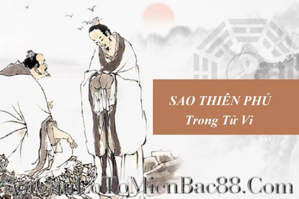 số mệnh thiên phủ là gì