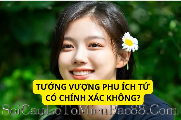 vượng phu ích tử là gì