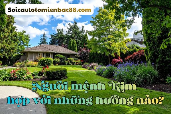 Mệnh Kim thường tham khảo các hướng thuộc hành Kim hoặc hành Thổ