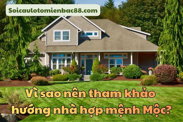 hướng nhà hợp mệnh mộc