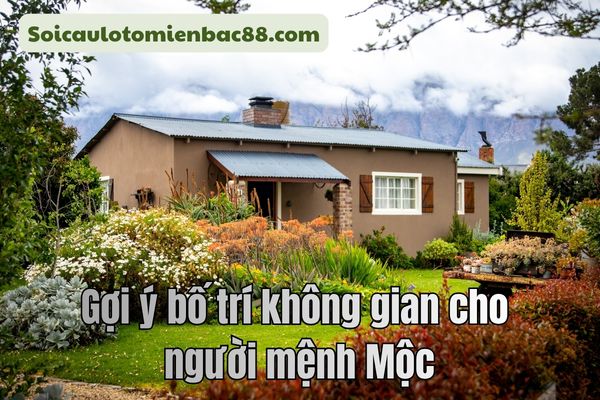 hướng nhà hợp mệnh mộc