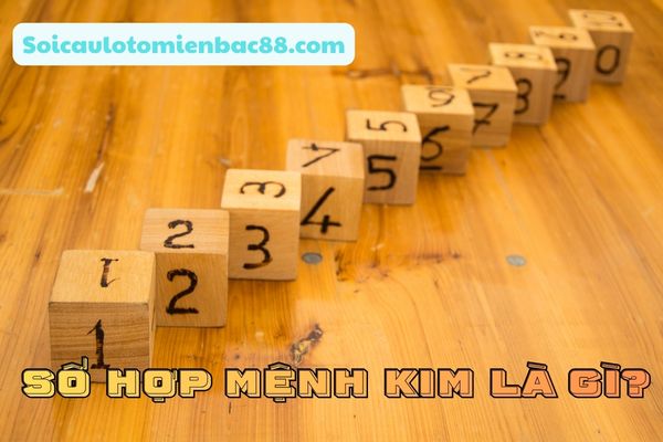 số hợp mệnh kim